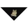 SOL'S Bandana Thumbnail